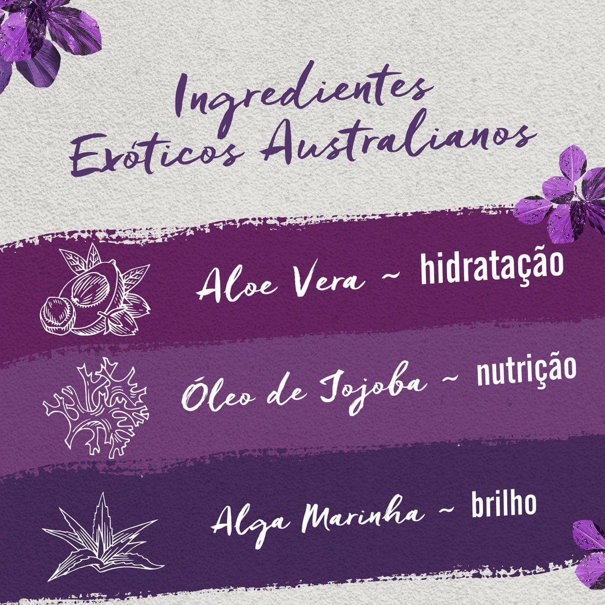 Ingredientes naturais da linha Aussie Smooth