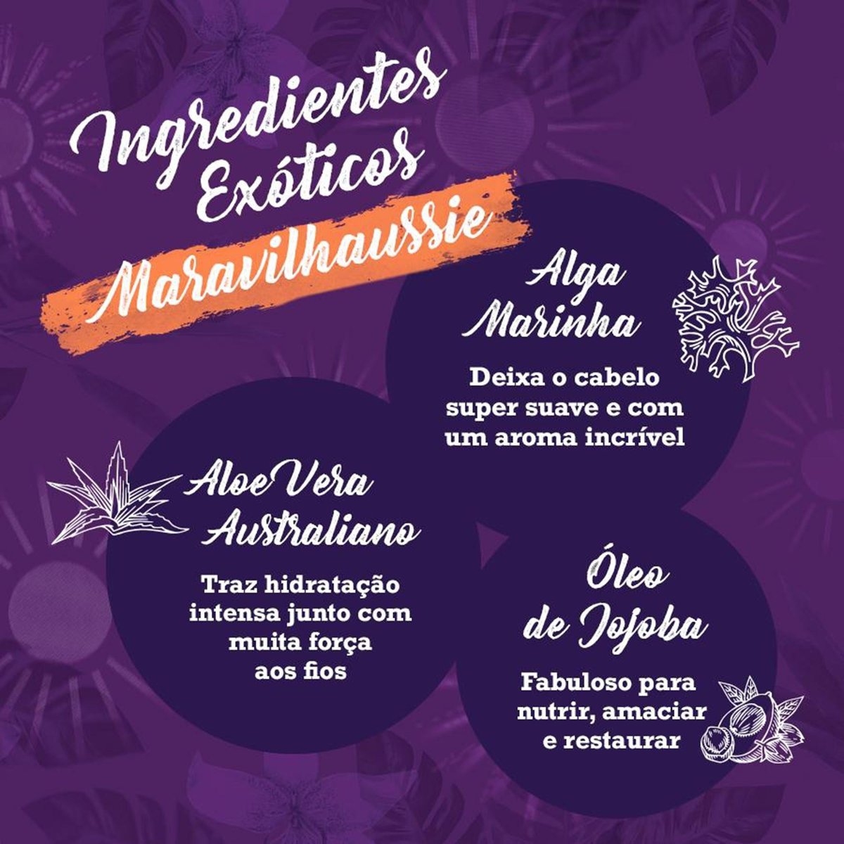 Ingredientes exóticos: Aloe Vera, Alga Marinha e Óleo de Jojoba destacados