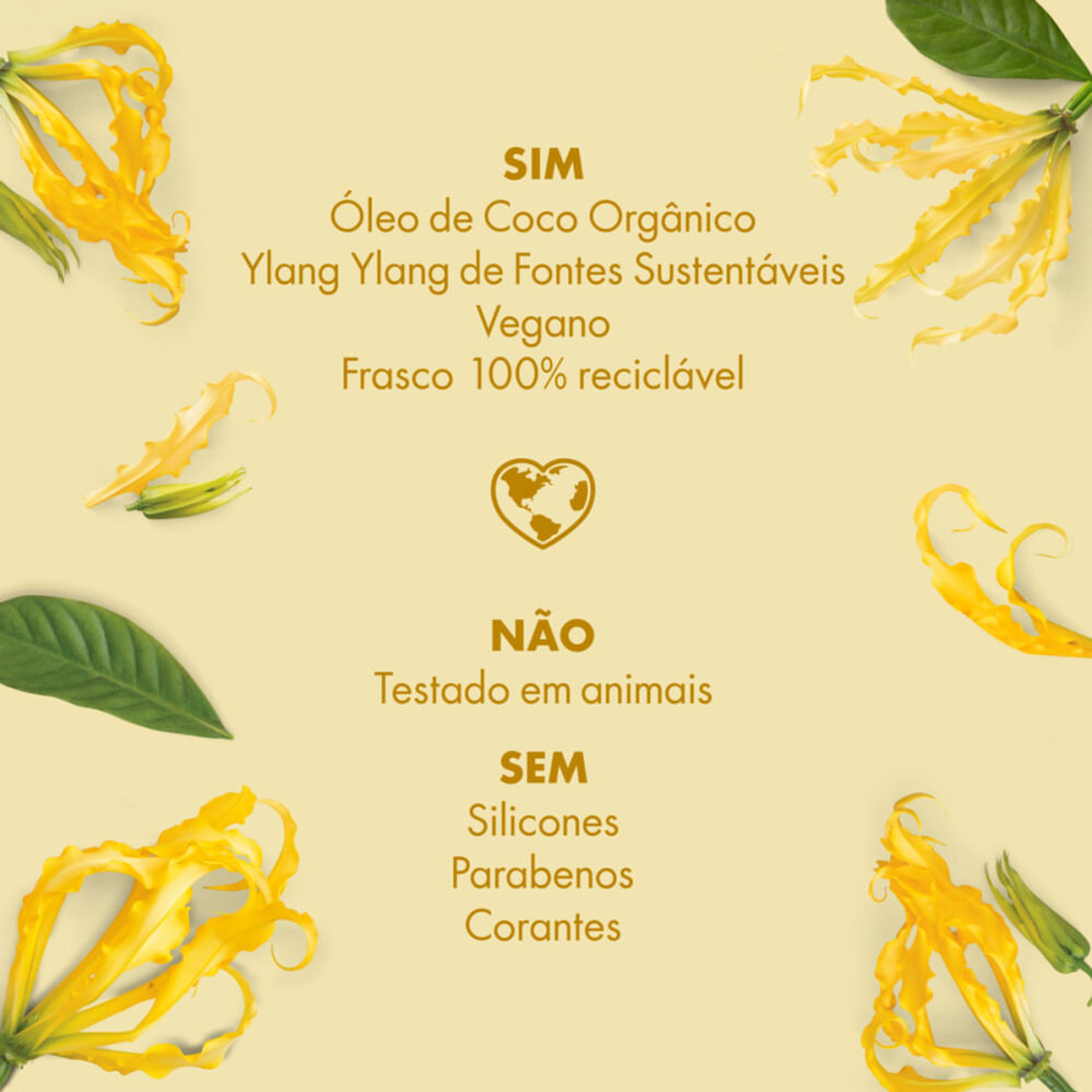 Ícones e informações técnicas Love Beauty and Planet