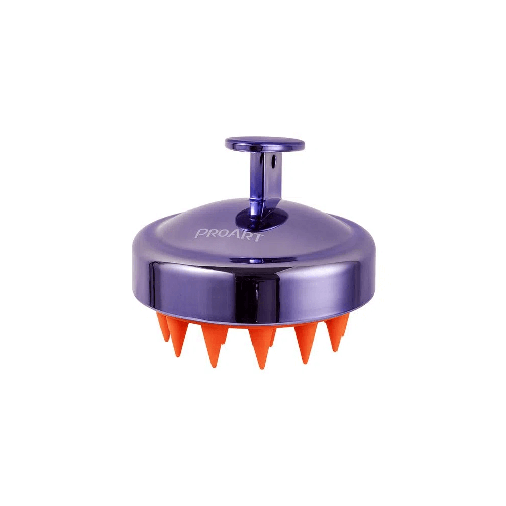 Vista superior do massageador Proart mostrando alça e cerdas de silicone