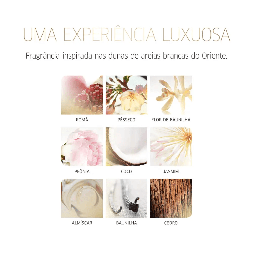 Imagem da experiência olfativa e ingredientes visuais da coleção Oil Reflections