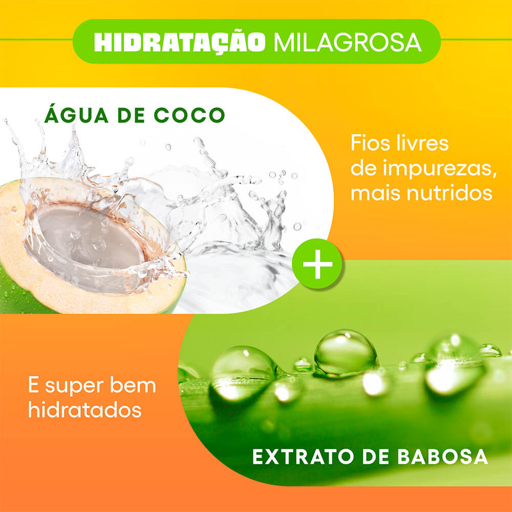 Ingredientes Água de Coco e Extrato de Babosa do Shampoo Niely Gold