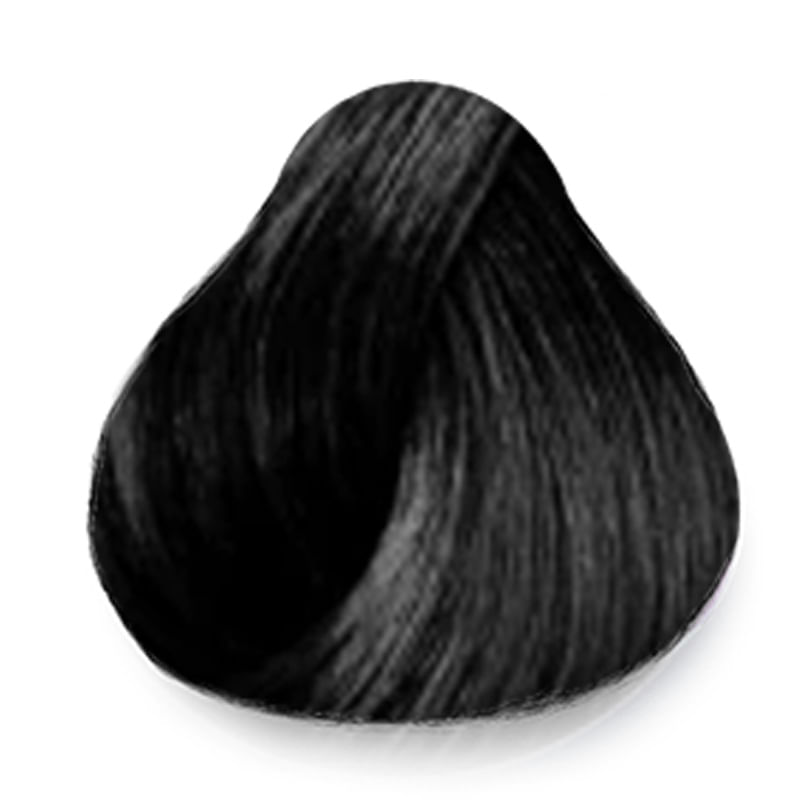 Amostra de cor preta intensa com brilho - Itallian Color Premium 1.0