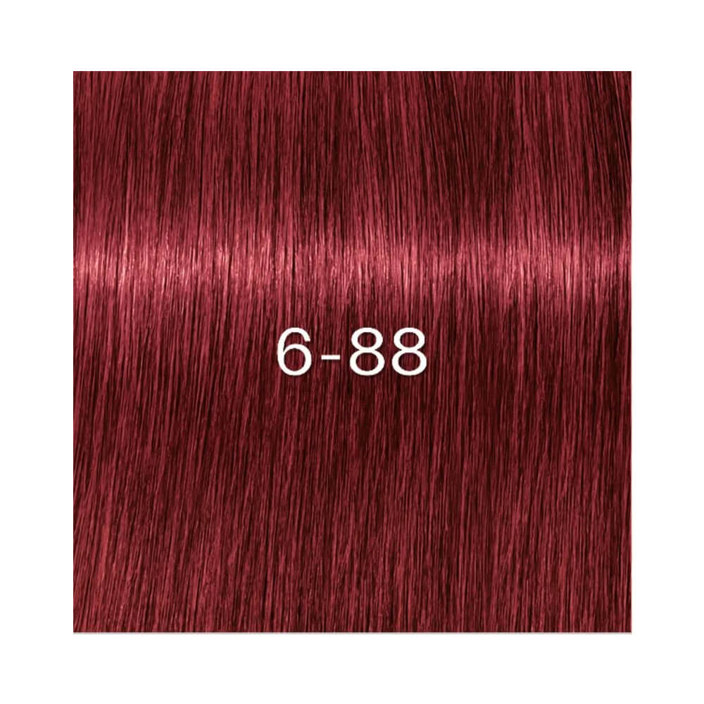Amostra da cor 6.88 vermelho vinho da coloração Igora Zero AMM