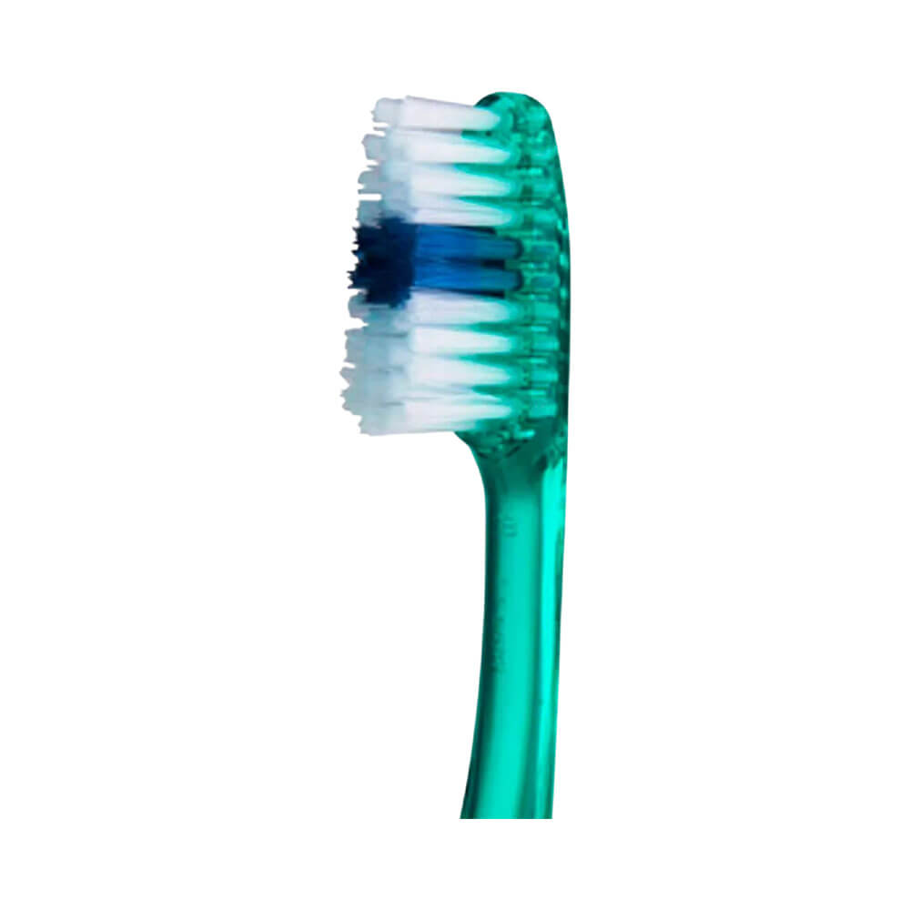 Detalhe das cerdas brancas com núcleo azul e cabo anatômico