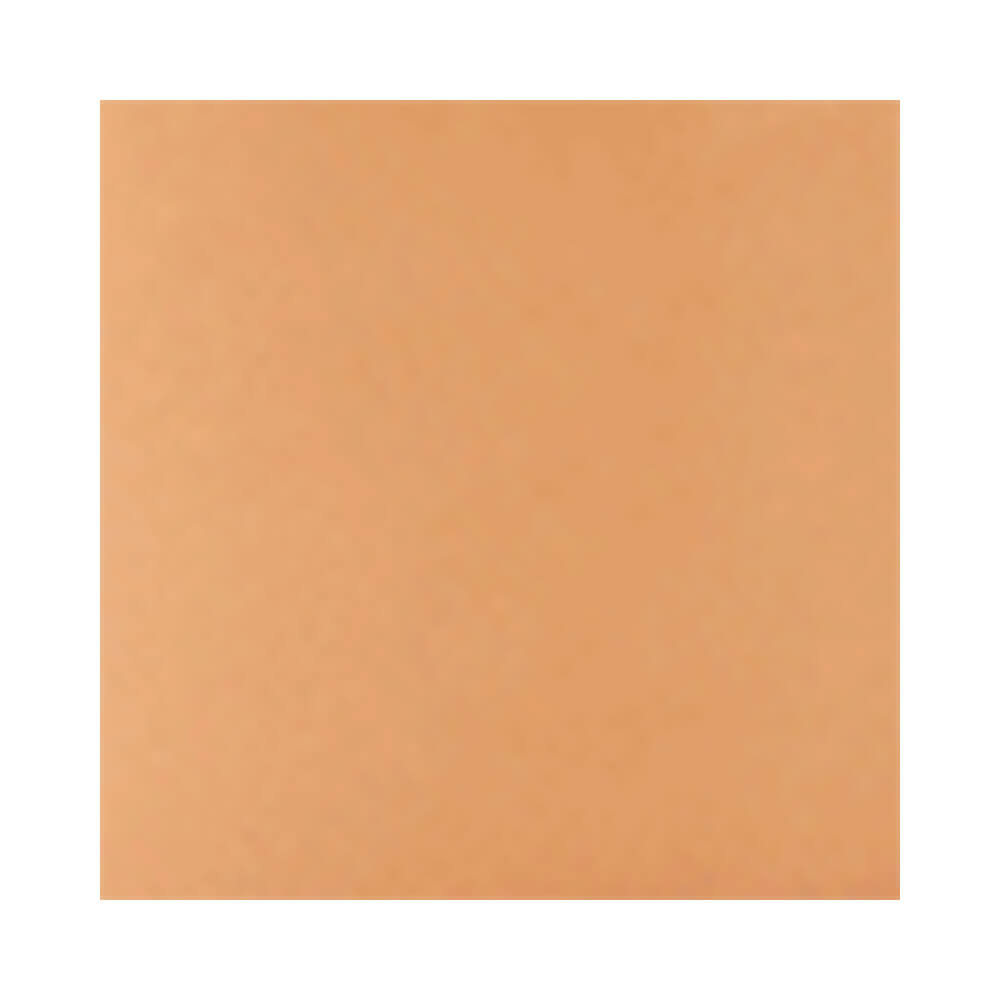 Amostra de cor da Base Ruby Rose Stick Perfect Blend FS20
