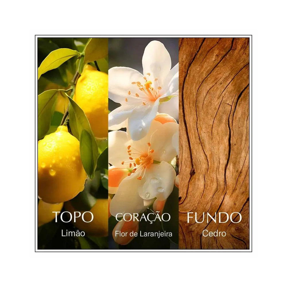 Notas olfativas do Eau De Toilette Chanson d'Eau Lemon: limão, flor de laranjeira e madeira de cedro