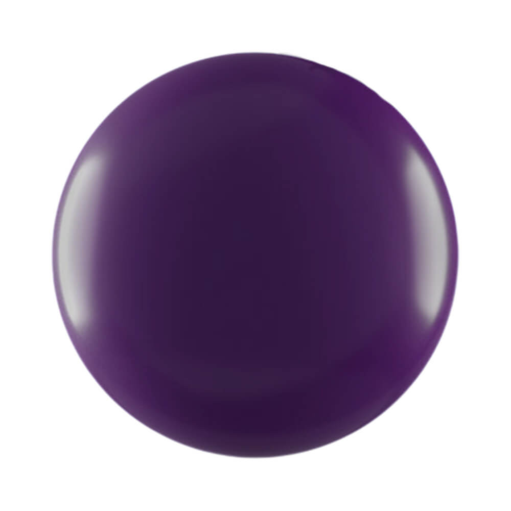 Mostruário da cor roxo intenso do esmalte Anita Modo Avião Silêncio na Alma